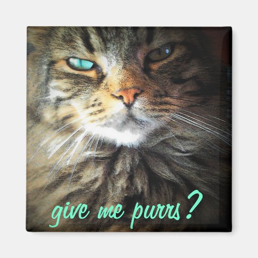 Gib mir Purrs? Magnet (Vorne)