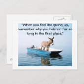 Gib nicht auf postkarte (Vorne/Hinten)