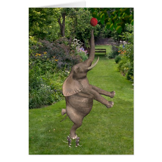 Gib nie auf - gemeinsam sind wir stark (Vorne)