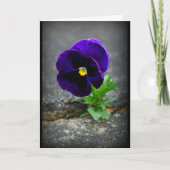 Gib nie auf! karte (Vorderseite)