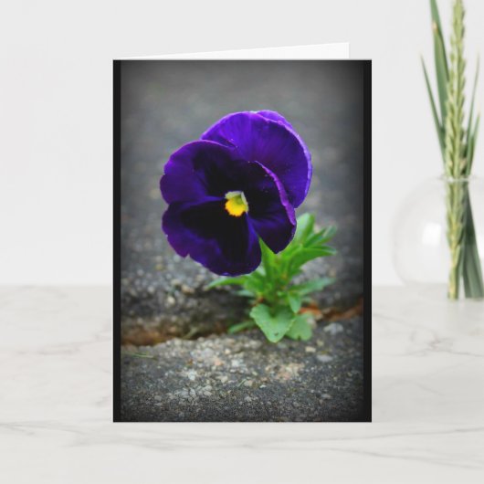 Gib nie auf! karte (Vorderseite)