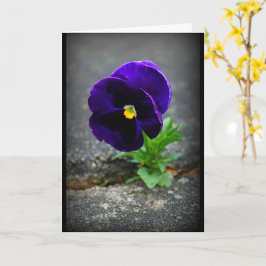 Gib nie auf! karte (Gelbe Blume)