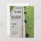 Gib nie auf! postkarte (Vorne/Hinten)