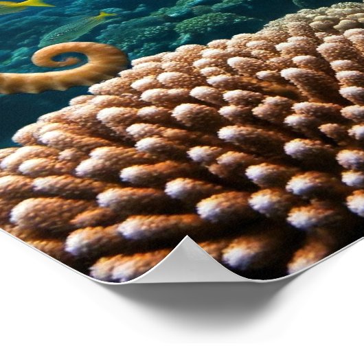 Gib nie Poster auf (Ecke)