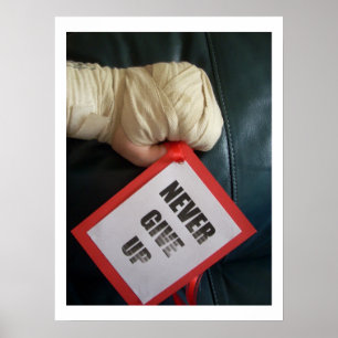 Gib niemals Boxplakat auf Poster