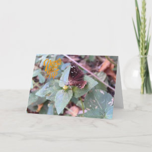 Gib niemals die blanke Schmetterlingsgrusskarte au Karte