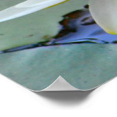 Gib niemals die Wasserlilie auf Poster (Ecke)