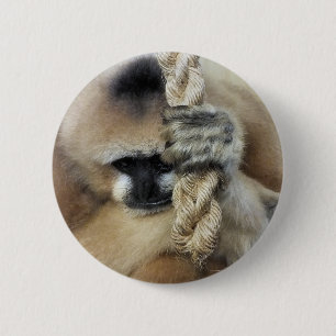 GIBBON BUTTON