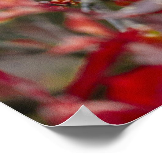 Gibbon Einsamkeit Poster (Ecke)