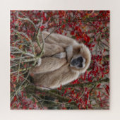 Gibbon Einsamkeit Puzzle (Horizontal)