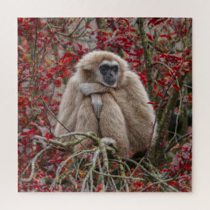 Gibbon Einsamkeit Puzzle