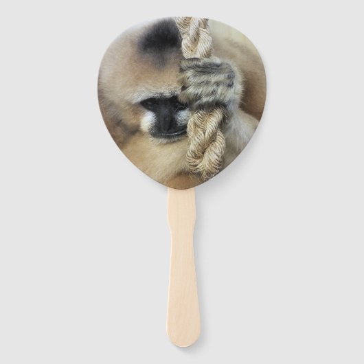 GIBBON FÄCHER (Vorderseite)