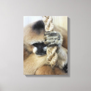 GIBBON LEINWANDDRUCK
