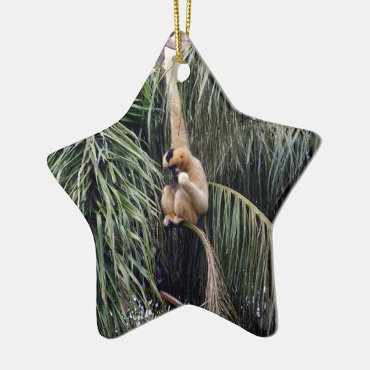 Gibbon Monkey, der nur herumhing, Keramikornament (Links)