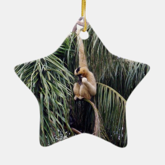 Gibbon Monkey, der nur herumhing, Keramikornament (Hinten)