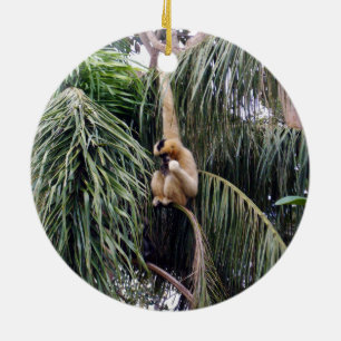 Gibbon Monkey, der nur herumhing, Keramikornament