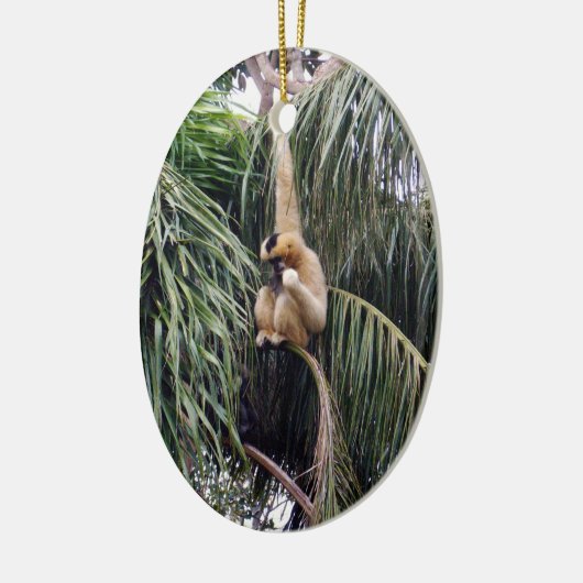 Gibbon Monkey, der nur herumhing, Keramikornament (Links)