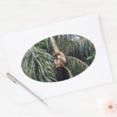 Gibbon Monkey, der nur herumhing, Ovaler Aufkleber (Umschlag)