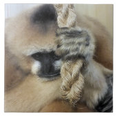 GIBBON MONKEY FLIESE (Vorderseite)