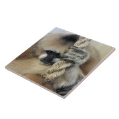 GIBBON MONKEY FLIESE (Seite)