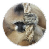 GIBBON MONKEY KERAMIKKNAUF (Vorderseite)