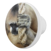 GIBBON MONKEY KERAMIKKNAUF (Rechts)