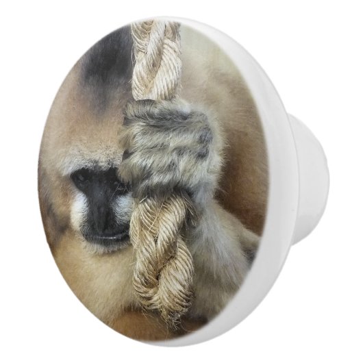 GIBBON MONKEY KERAMIKKNAUF (Rechts)