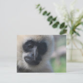 Gibbon Postcard Postkarte (Stehend Vorderseite)