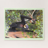 Gibbon Puzzle (Horizontal)
