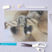GIBBON SEIDENPAPIER (Handwerk)