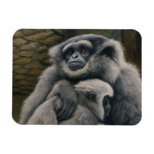 Gibbon Shelter - Portrait über die emotionale Wild Magnet