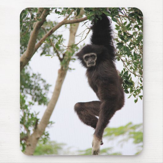 Gibbon Swinging from Tree Mousepad (Vorne)