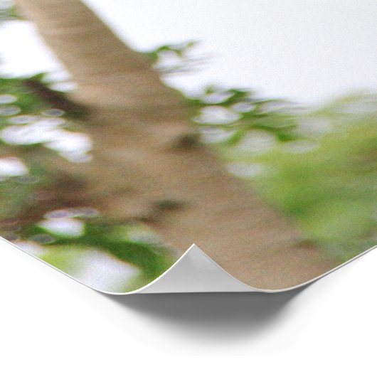 Gibbon Swinging from Tree Poster (Ecke)