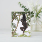 Gibbon Swinging from Tree Postkarte (Stehend Vorderseite)