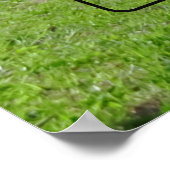 Gibbs Hill Lighthouse Park Poster (Ecke)