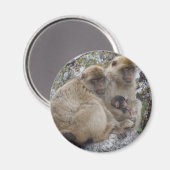 Gibraltar Apes - Magnet (Vorderseite/Rückseite)