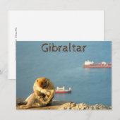Gibraltar Barbary Ape Card (Vorne/Hinten)