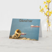 Gibraltar Barbary ape Karte (Gelbe Blume)