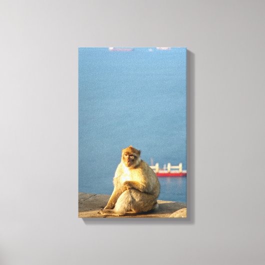 Gibraltar Barbary ape Leinwanddruck (Vorderseite)