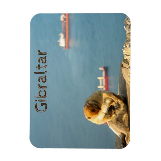 Gibraltar Barbary ape Magnet (Vertikal)