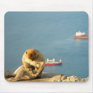 Gibraltar Barbary ape Mousepad