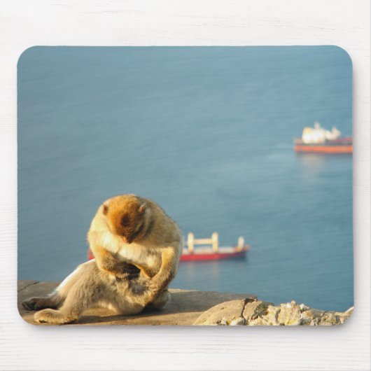 Gibraltar Barbary ape Mousepad (Vorne)