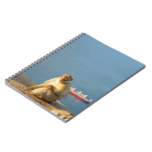 Gibraltar Barbary ape Notizblock (Linke Seite)