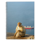 Gibraltar Barbary ape Notizblock (Vorderseite)