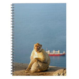 Gibraltar Barbary ape Notizblock