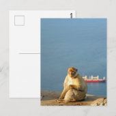 Gibraltar Barbary ape Postkarte (Vorne/Hinten)