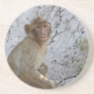 Gibraltar Monkey Untersetzer