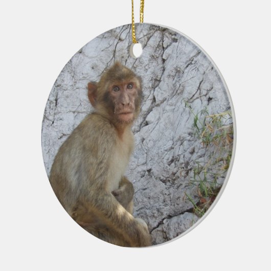 Gibraltar Monkeys Verzierung Keramikornament (Links)