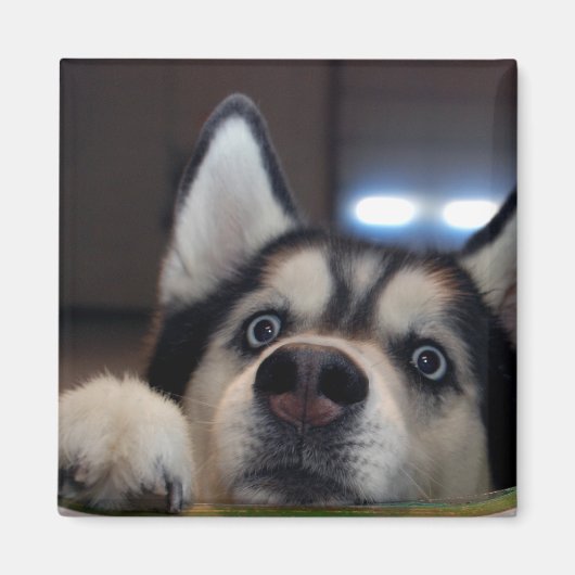 Gibt es da draußen? magnet (Vorne)