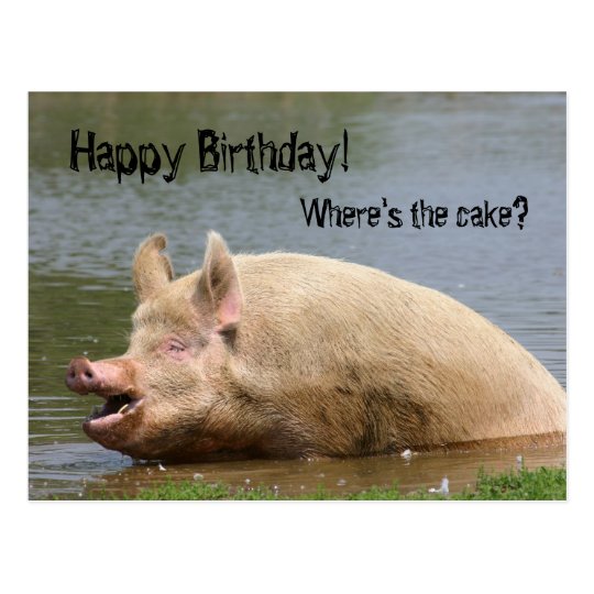 Gieriger Schwein Geburtstag Postkarte Zazzle.de